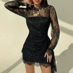 Women's Long Sleeve Lace Sheath Dress