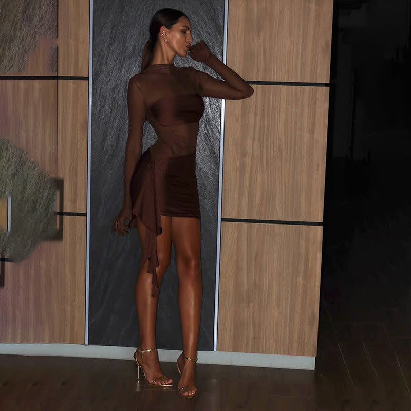 Sheer Mesh Pleated Long-Sleeve Dress