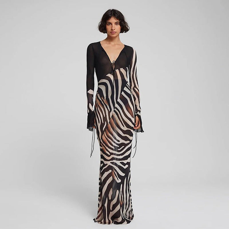 Women's Printed Mesh V-Neck Long Sleeve Maxi Dress