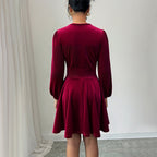 Women's Wine-Red Velvet A-Line Dress