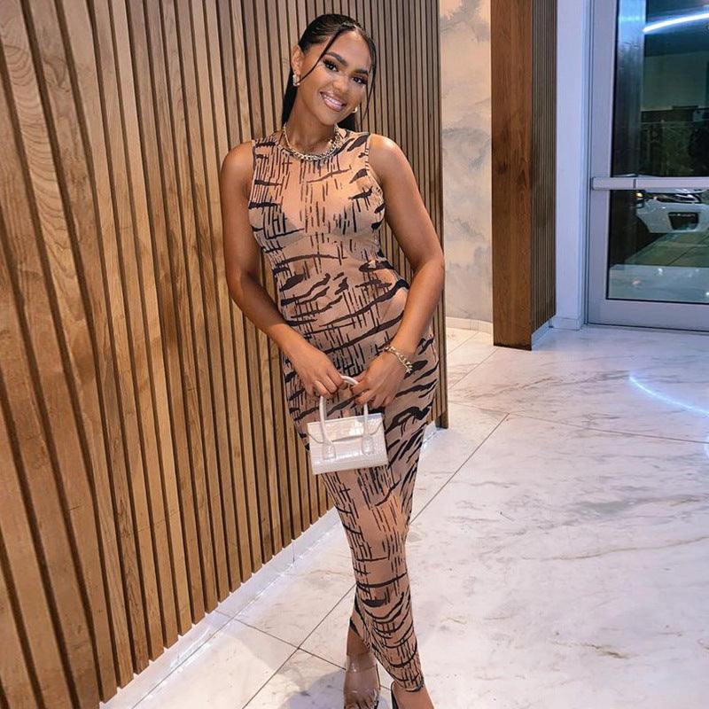 Tiger-Print Mesh Maxi Dress