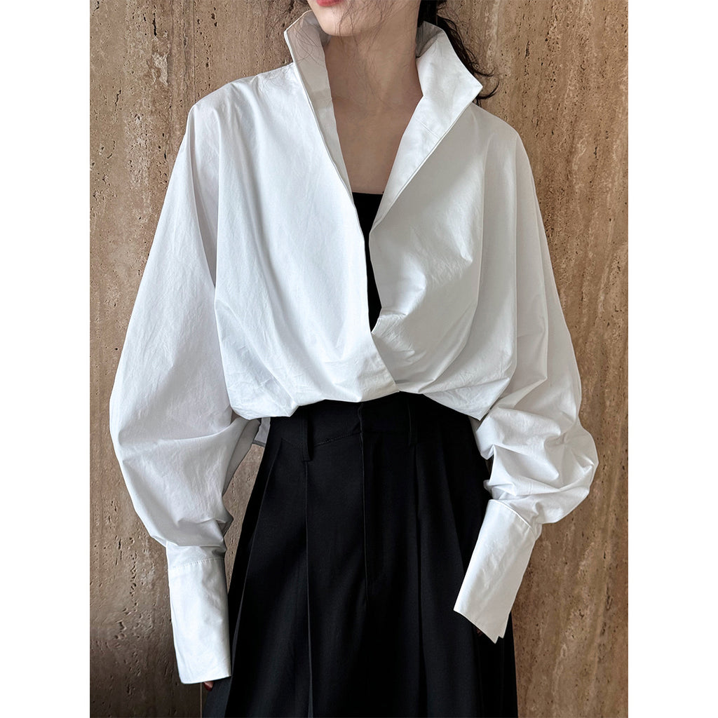 Deep V-Neck Batwing Sleeve Blouse