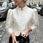 Women's Stand Collar Puff Sleeve Long Sleeve Office Palace Shirt