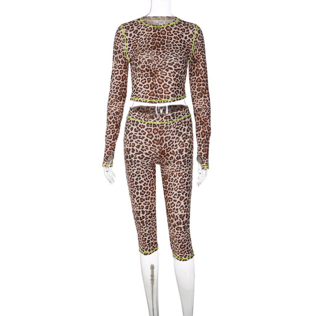 Leopard