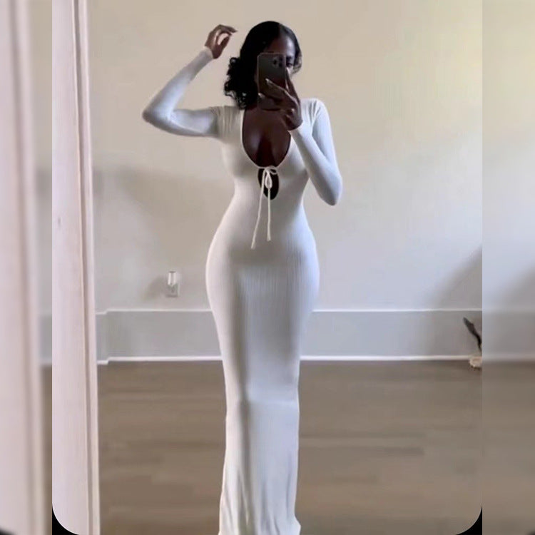 Women's Deep V-Neck Long Sleeve Sheath Dress
