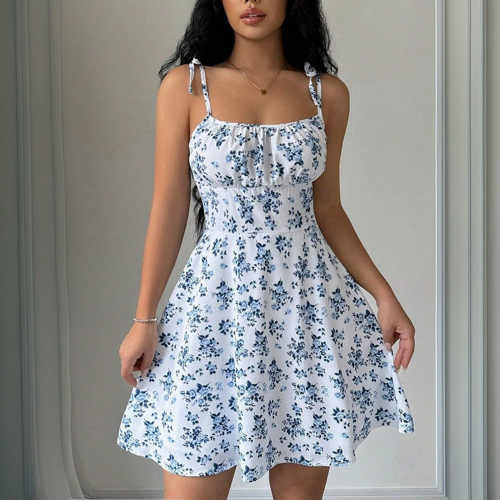 Multi（Polyester）