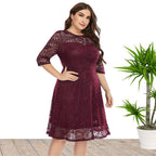 Women's Plus Size Spring Summer Clothes Crew Neck Lace Dress