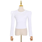 Women's Slim Fit Long Sleeve Crew Neck Top