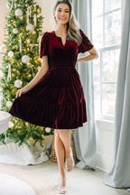 Gold Velvet V-Neck Flounce Dress