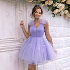 Sweet Sling Deep V Plunge neck Mesh Shirt Party Dress