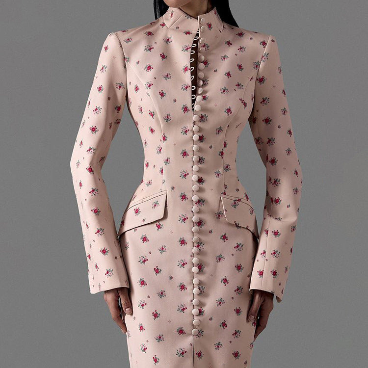 Women's Sheath Long Sleeve Dress