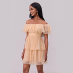Off-Shoulder Mesh Ruffle Tiered A-Line Mini Dress