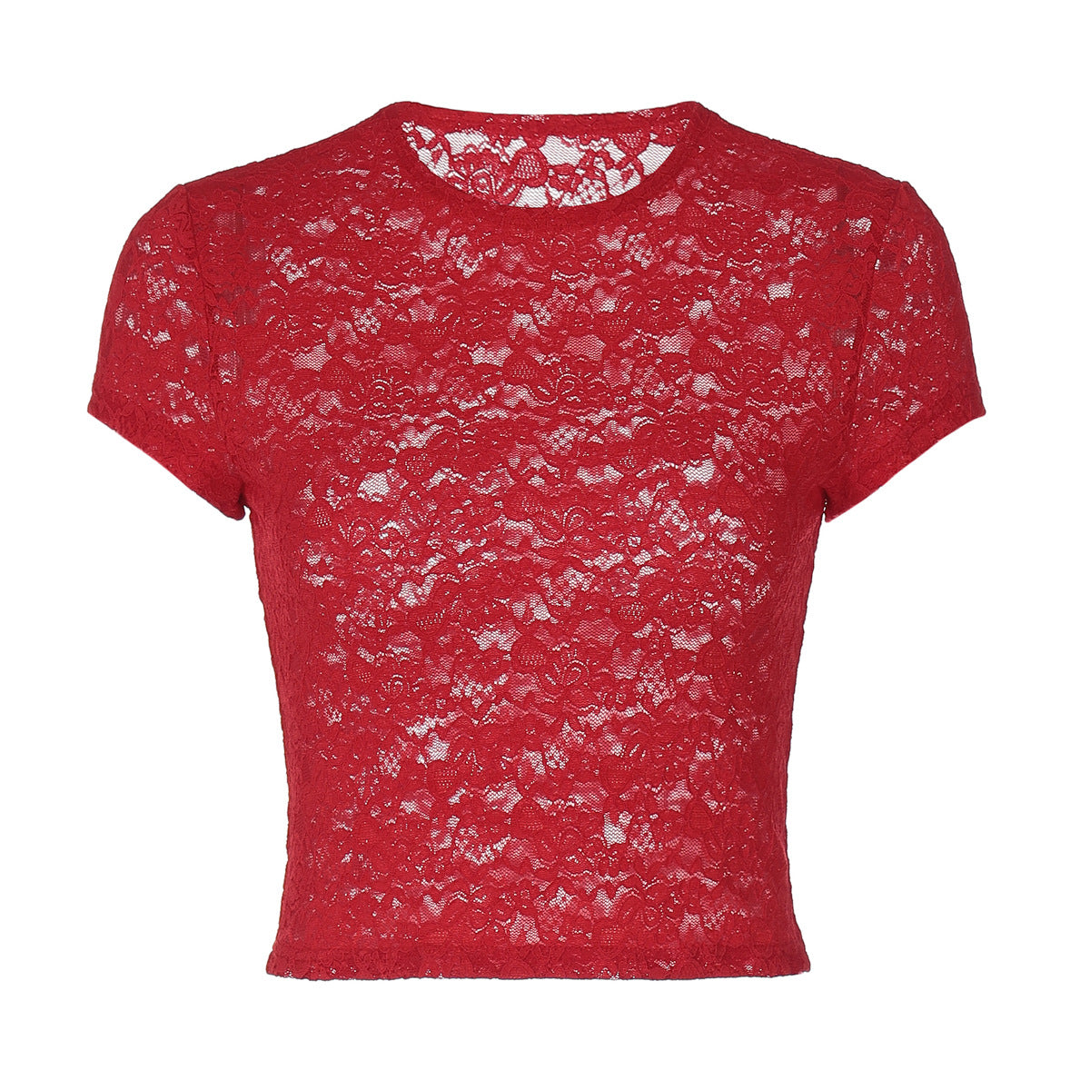 Women's Sheer Lace Crew Neck Short Sleeve Top