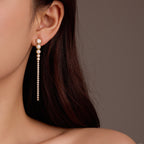 Wild Long Fringed Zircon Earrings Ear Studs Earrings