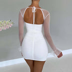 Women's Sheer Long Sleeve Backless Bodycon Dress