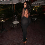 Slim Split Solid Color Hip Turtleneck Grenadine Sheer Long Sleeve Dress