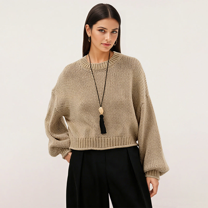 Autumn Winter Pullover Women Loose Crew Neck Casual All