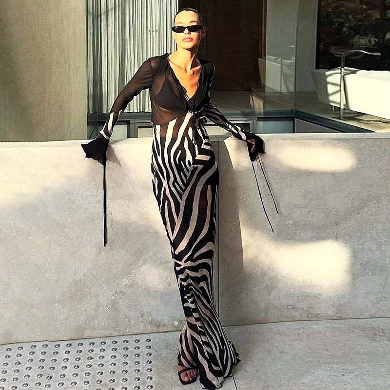 Women's Printed Mesh V-Neck Long Sleeve Maxi Dress
