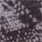 17cc0458cb47413dda502e89b83aa42f